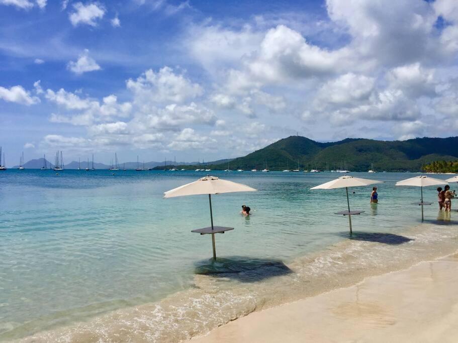 Hamo Tropical Piscine Proche Plage Apartment Sainte-Anne Exterior photo