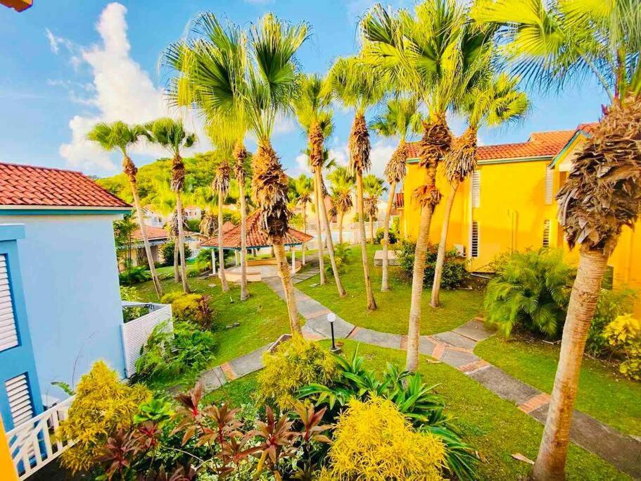 Hamo Tropical Piscine Proche Plage Apartment Sainte-Anne Exterior photo