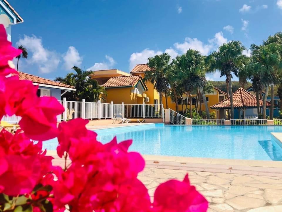 Hamo Tropical Piscine Proche Plage Apartment Sainte-Anne Exterior photo